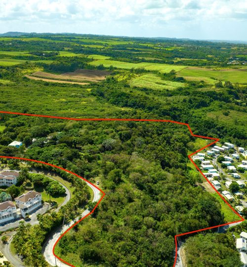 Mount Brevitor Land