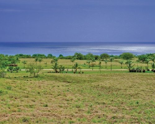 Carlton Plantation